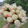 Ванильное мороженое